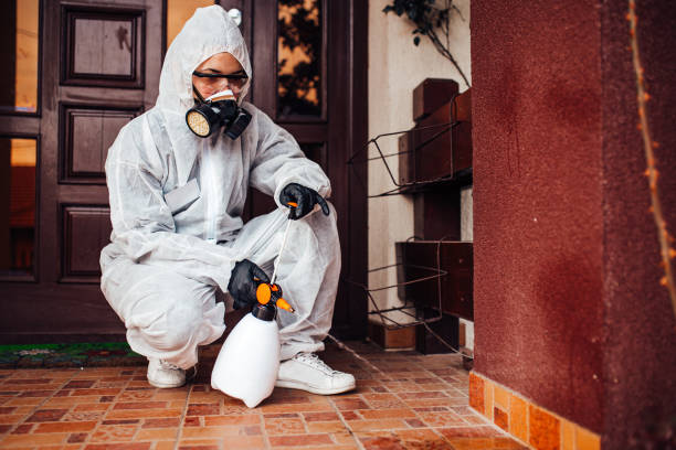 Attic and Crawl Space Rodent Treatment in Sterling