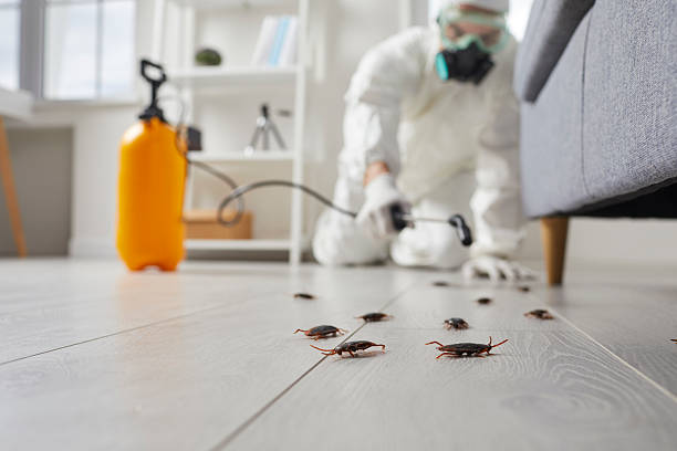 Commercial Rodent Management in Sterling